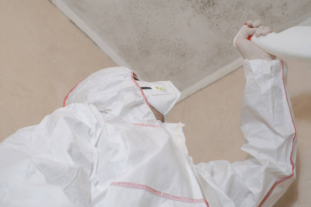 Best Emergency Mold Removal  in Tamaqua, PA