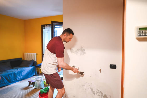 Best Mold Removal Company Near Me  in Tamaqua, PA